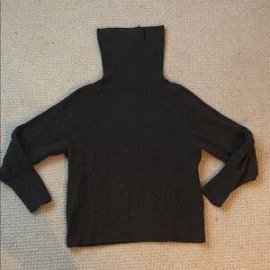 Quince Women's dark brown Turtleneck Sweater
